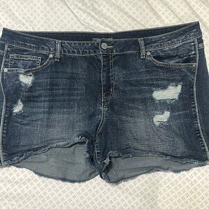 Maurice’s shorts size 24
